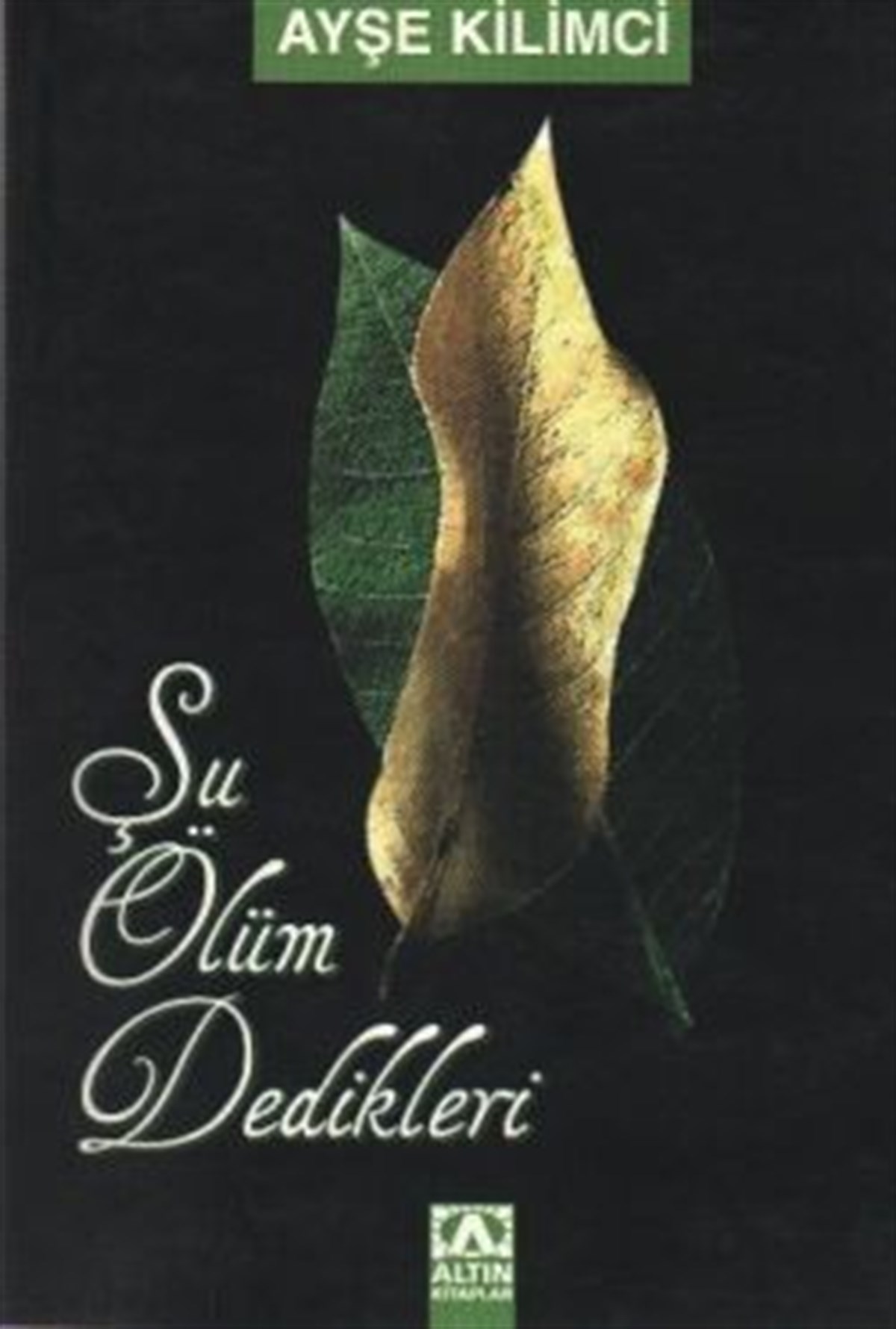 Şu Ölüm Dedikleri