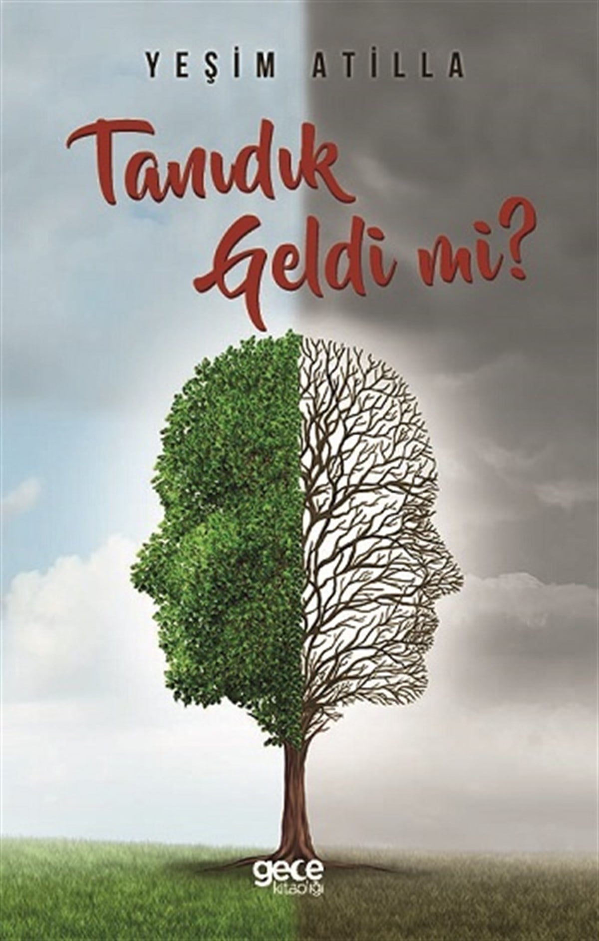 Tanıdık Geldi mi?