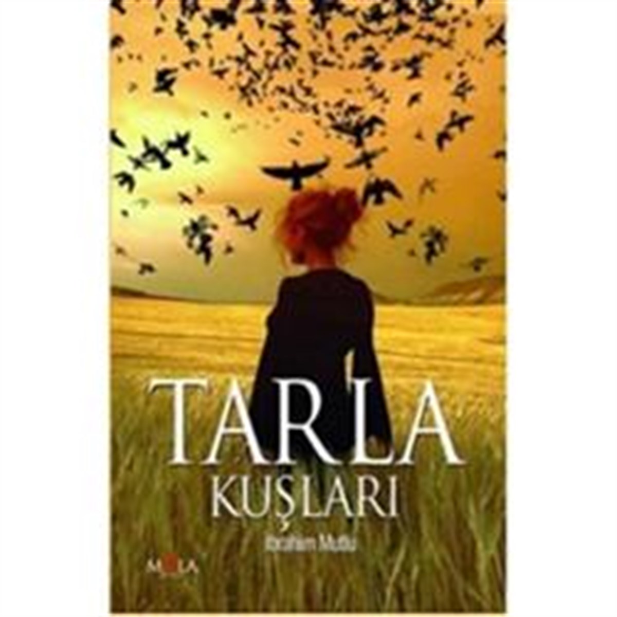 Tarla Kuşları