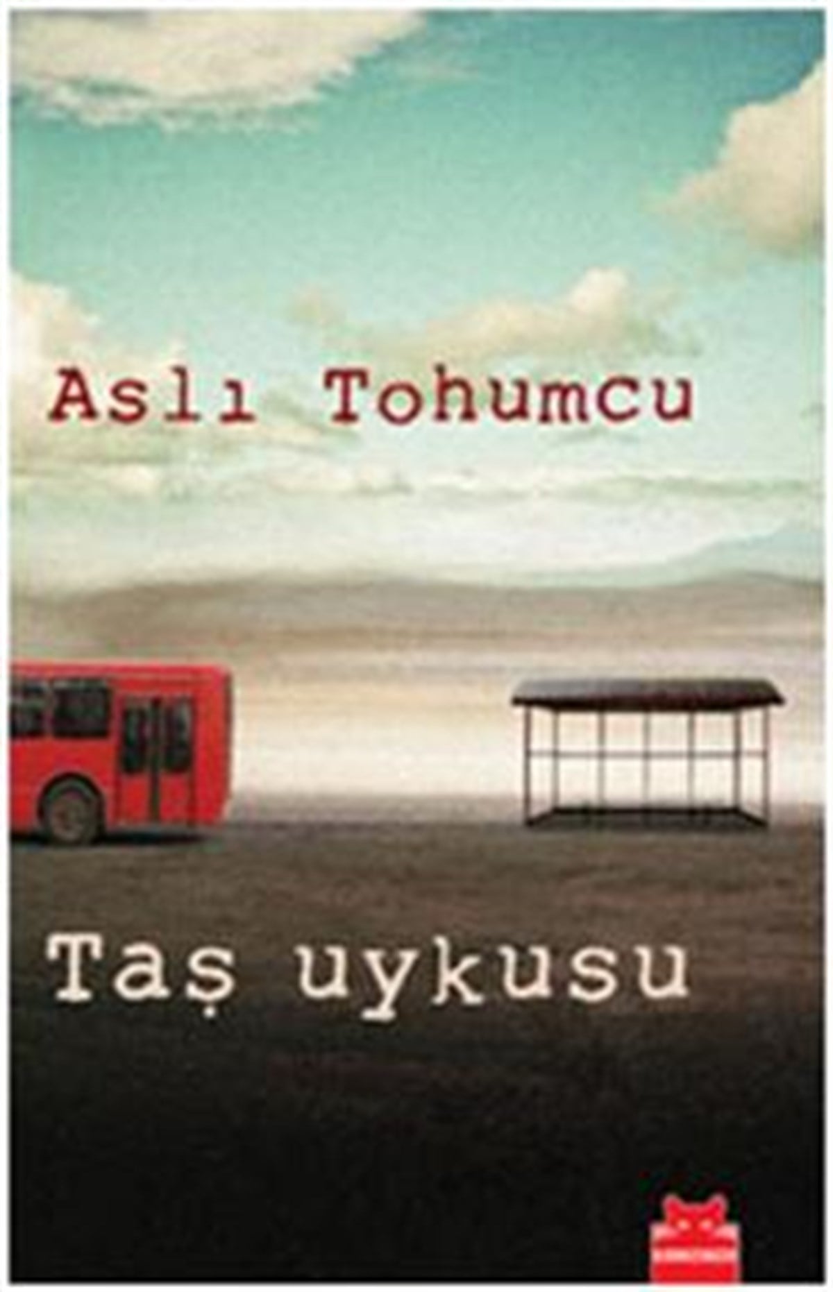 Taş Uykusu