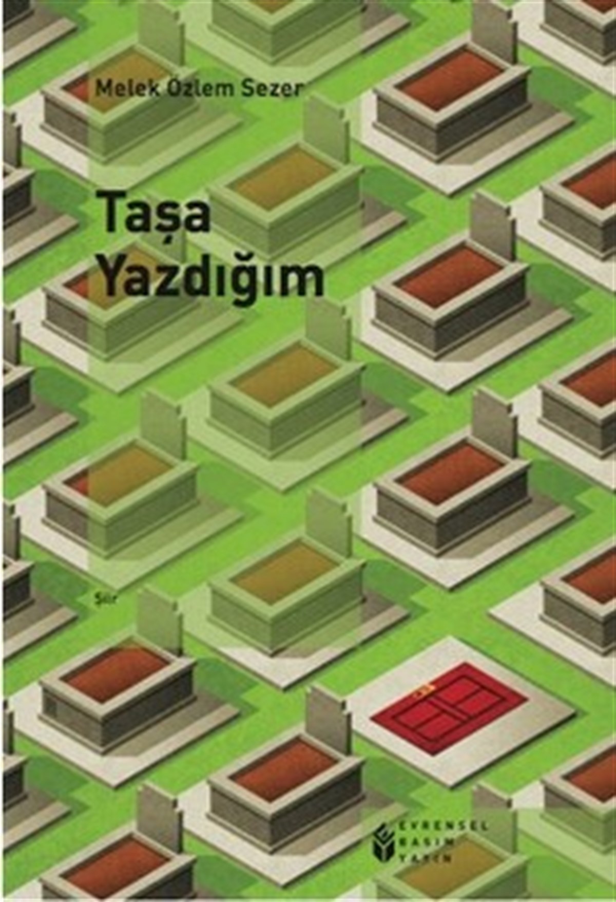 Taşa Yazdığım