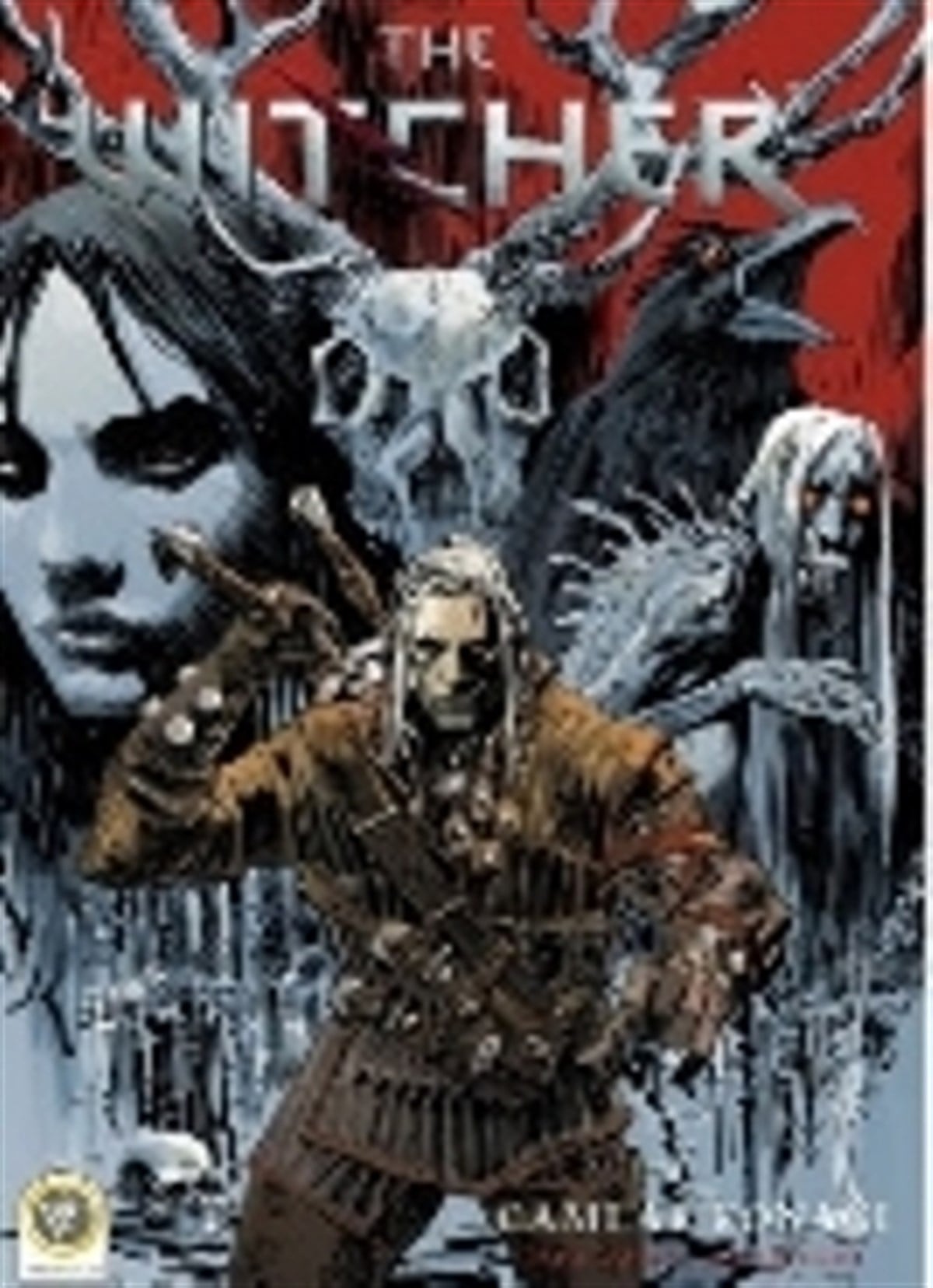 The Witcher Cilt 1 - Camlar Konağı