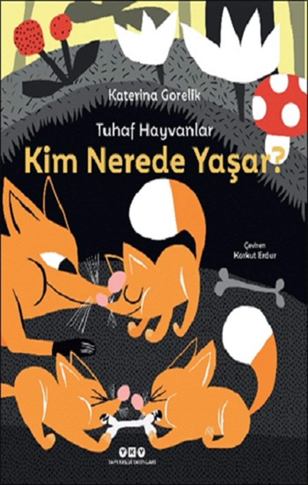 Tuhaf Hayvanlar – Kim Nerede Yaşar? (Ciltli)