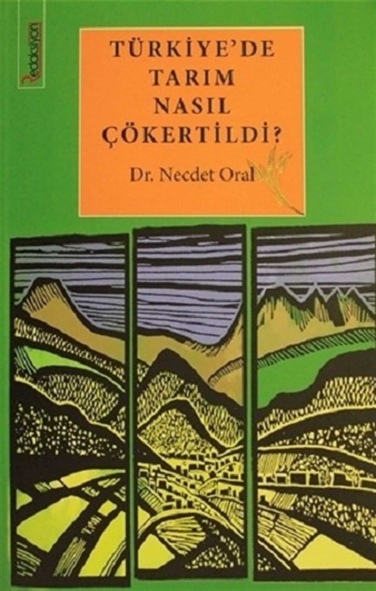 Türkiye’de Tarım Nasıl Çökertildi (Ciltli)