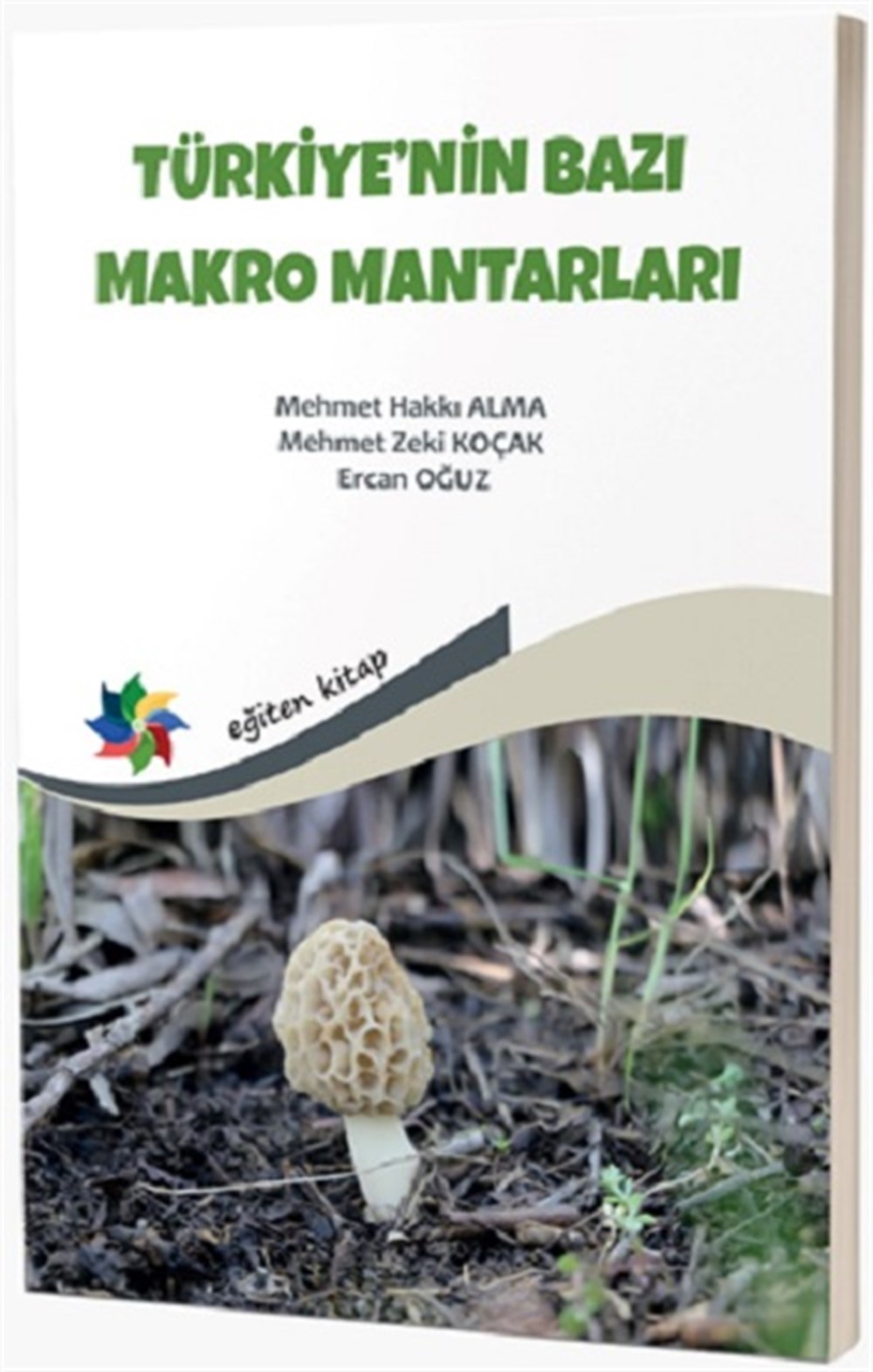 Türkiye'nin Bazı Makro Mantarları