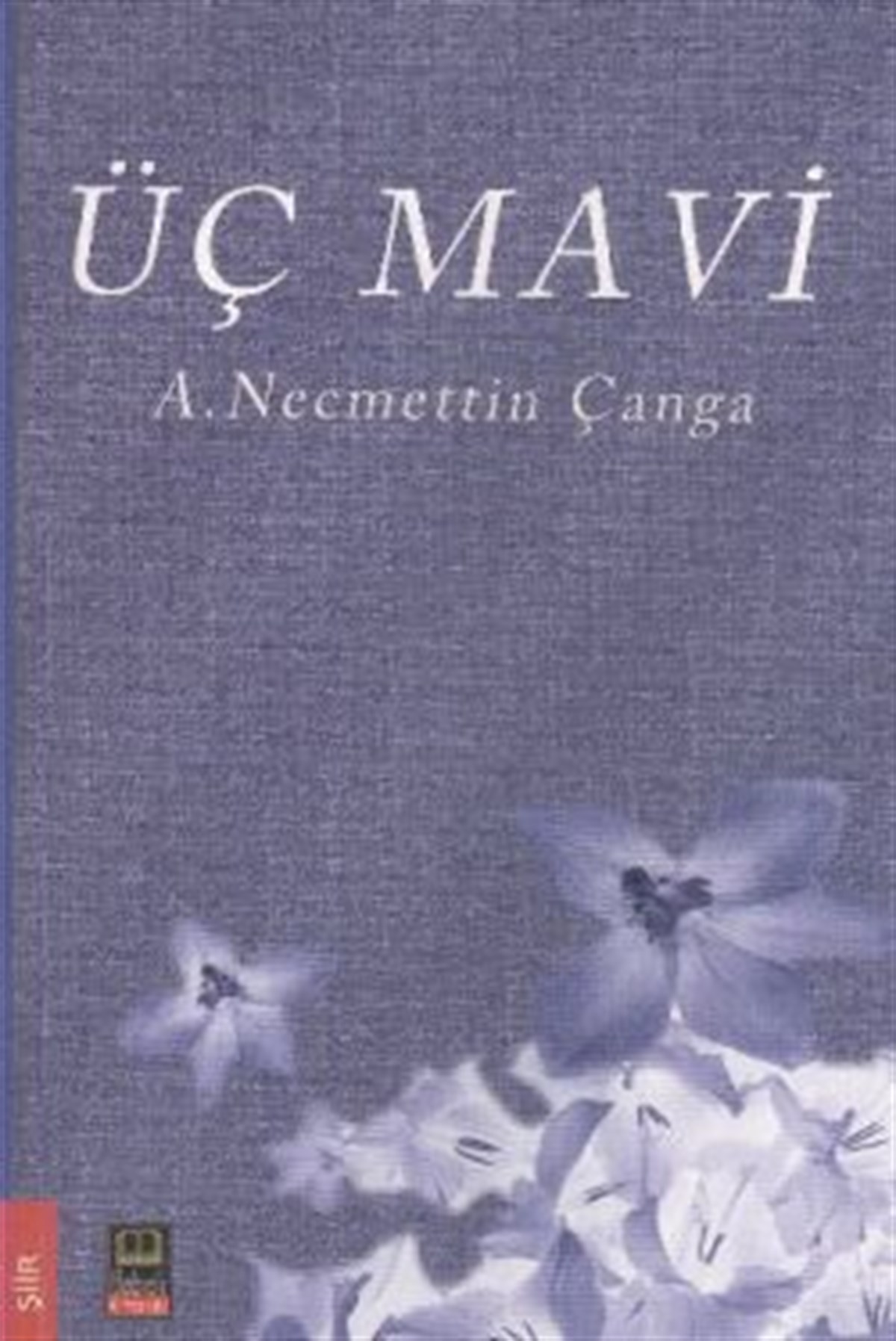 Üç Mavi