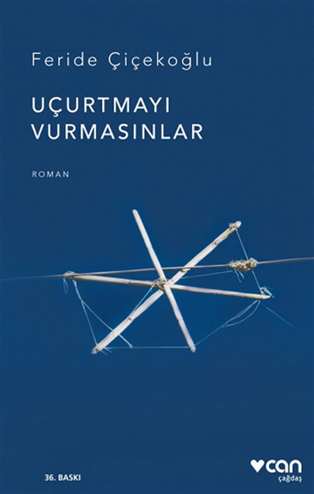Uçurtmayı Vurmasınlar
