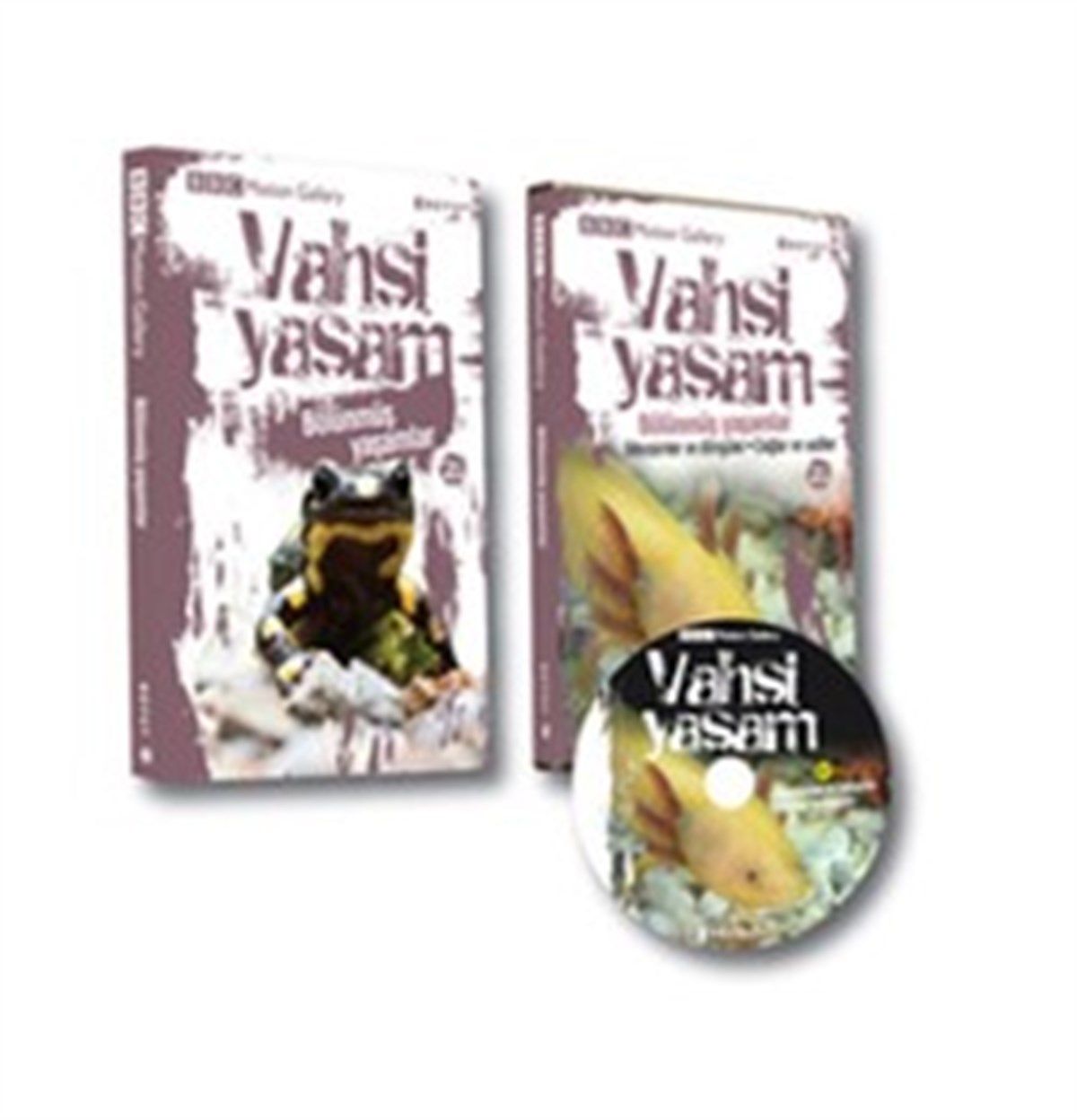 Vahşi Yaşam 2 - Bölünmüş Yaşamlar