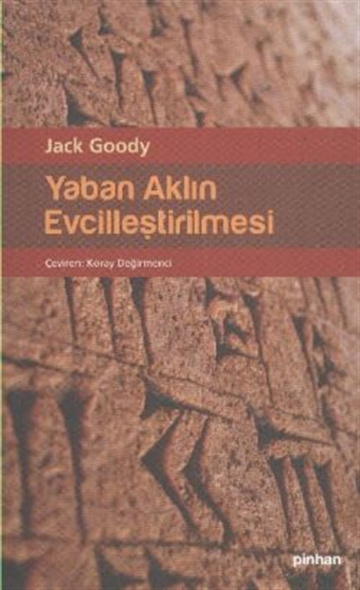 Yaban Aklın Evcilleştirilmesi