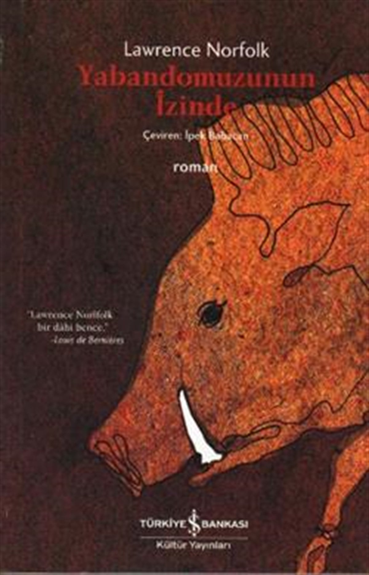 Yabandomuzunun İzinde