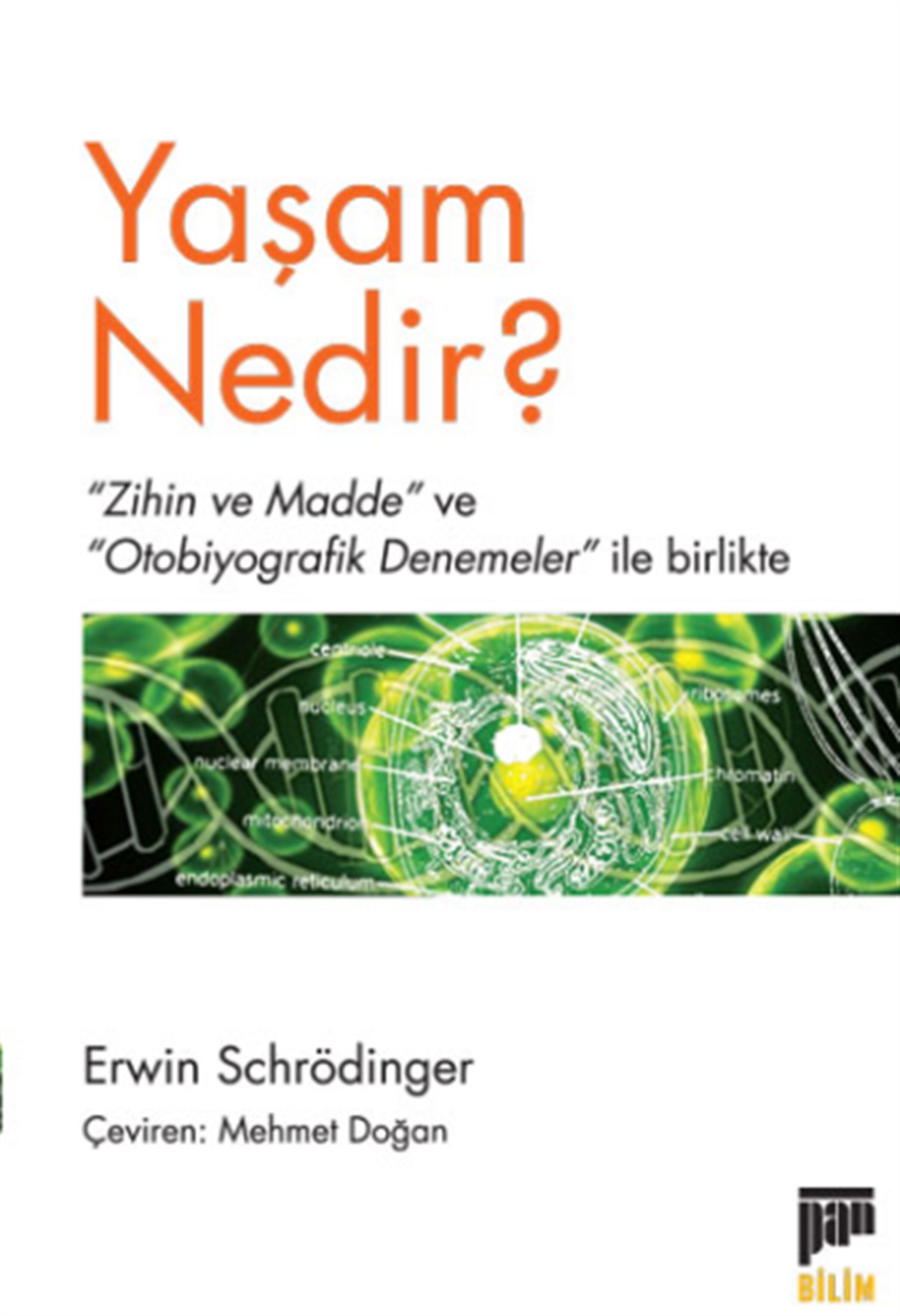 Yaşam Nedir?