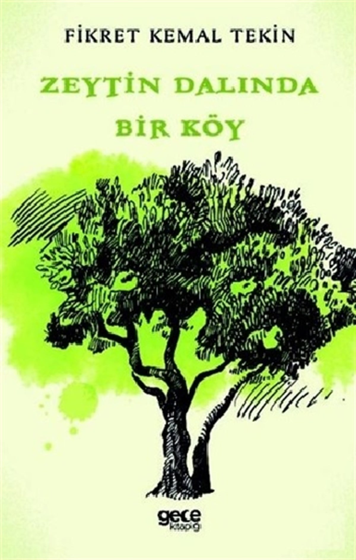 Zeytin Dalında Bir Köy