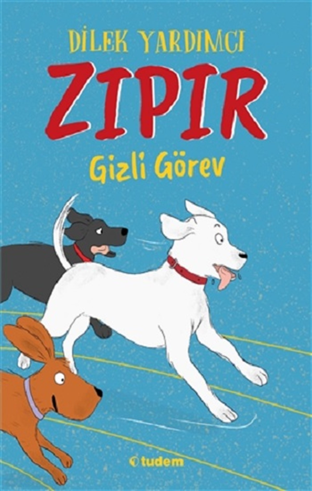Zıpır Gizli Görev