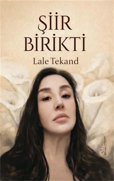 Şiir Birikti