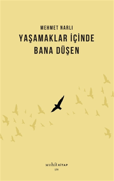 Yaşamaklar İçinde Bana Düşen
