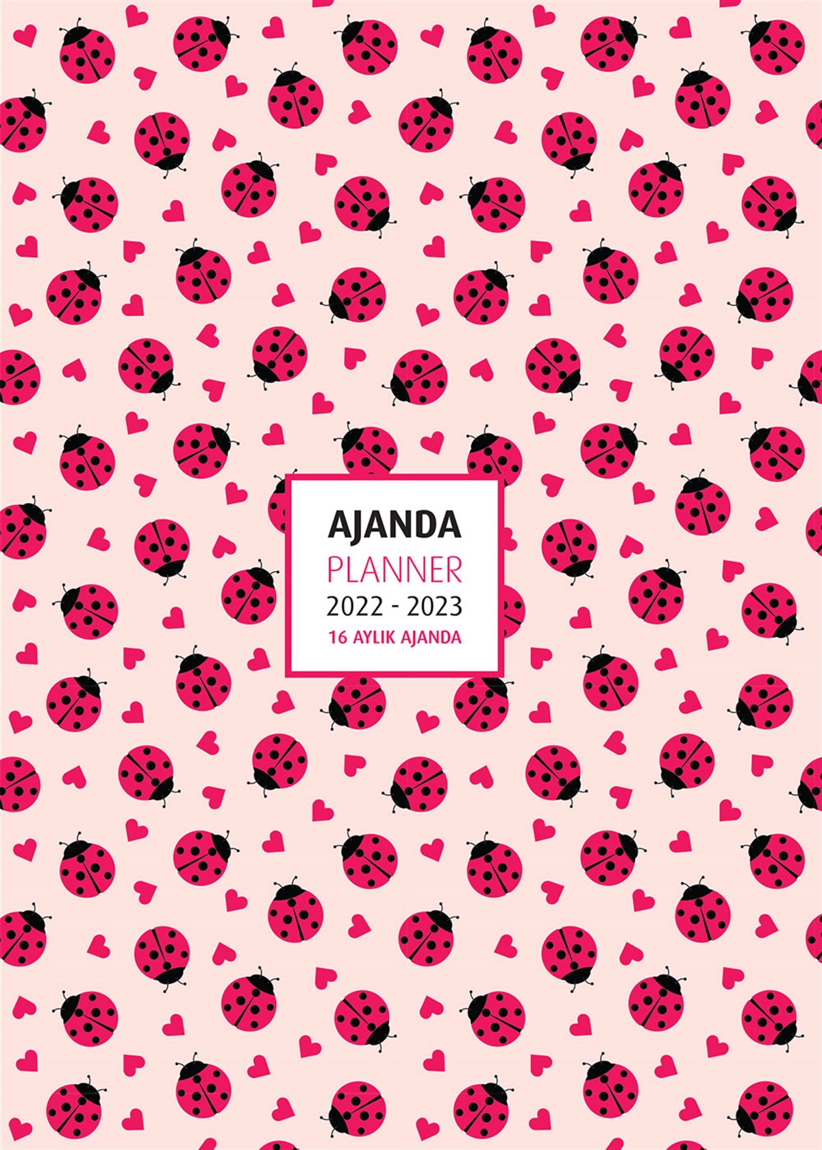 2022 - 2023 16 AYLIK AJANDA LADYBUGS
