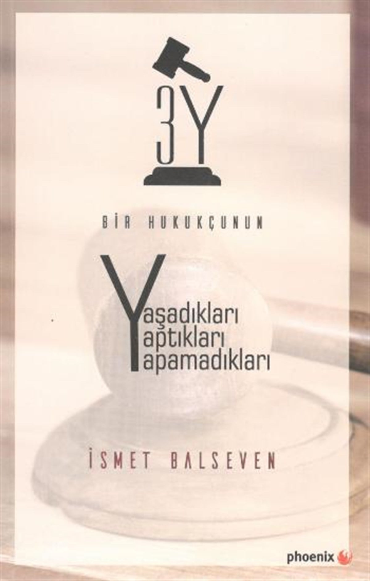 3Y Bir Hukukçunun Yaşadıkları, Yaptıkları, Yapamadıkları