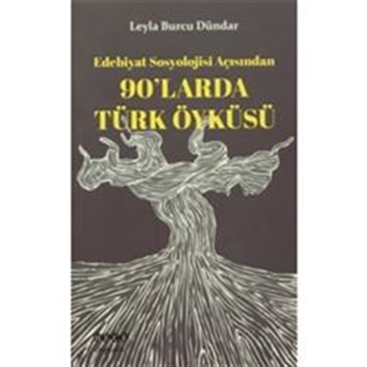 90'larda Türk Öyküsü
