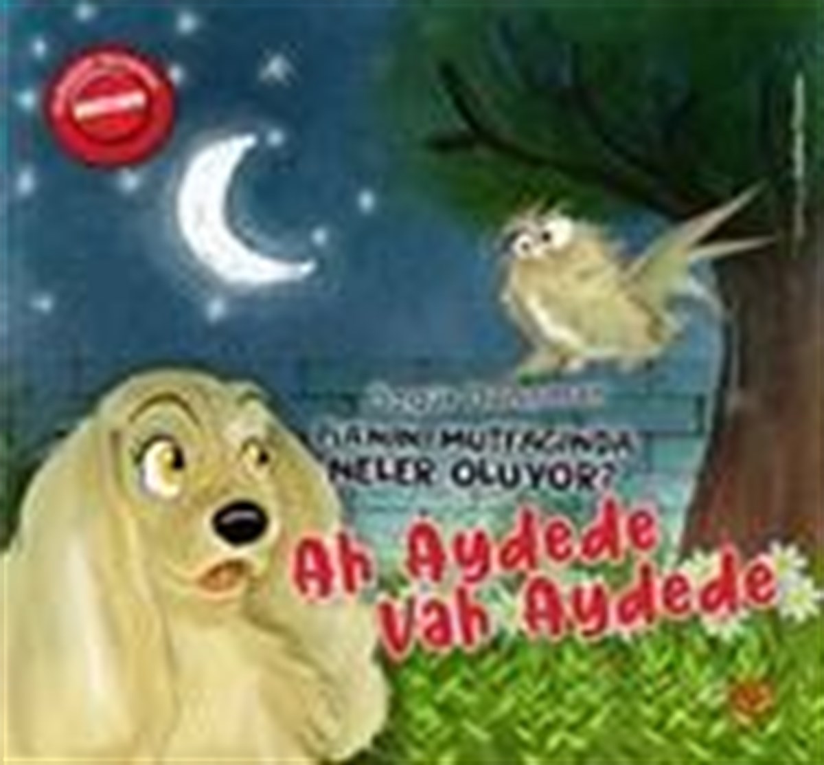 Ah Ay Dede Vah Ay Dede - Pia'nın Mutfağında Neler Oluyor  (Ciltli)