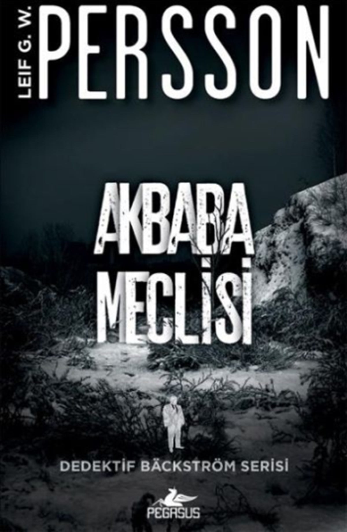 Akbaba Meclisi - Dedektif Backström Serisi 1