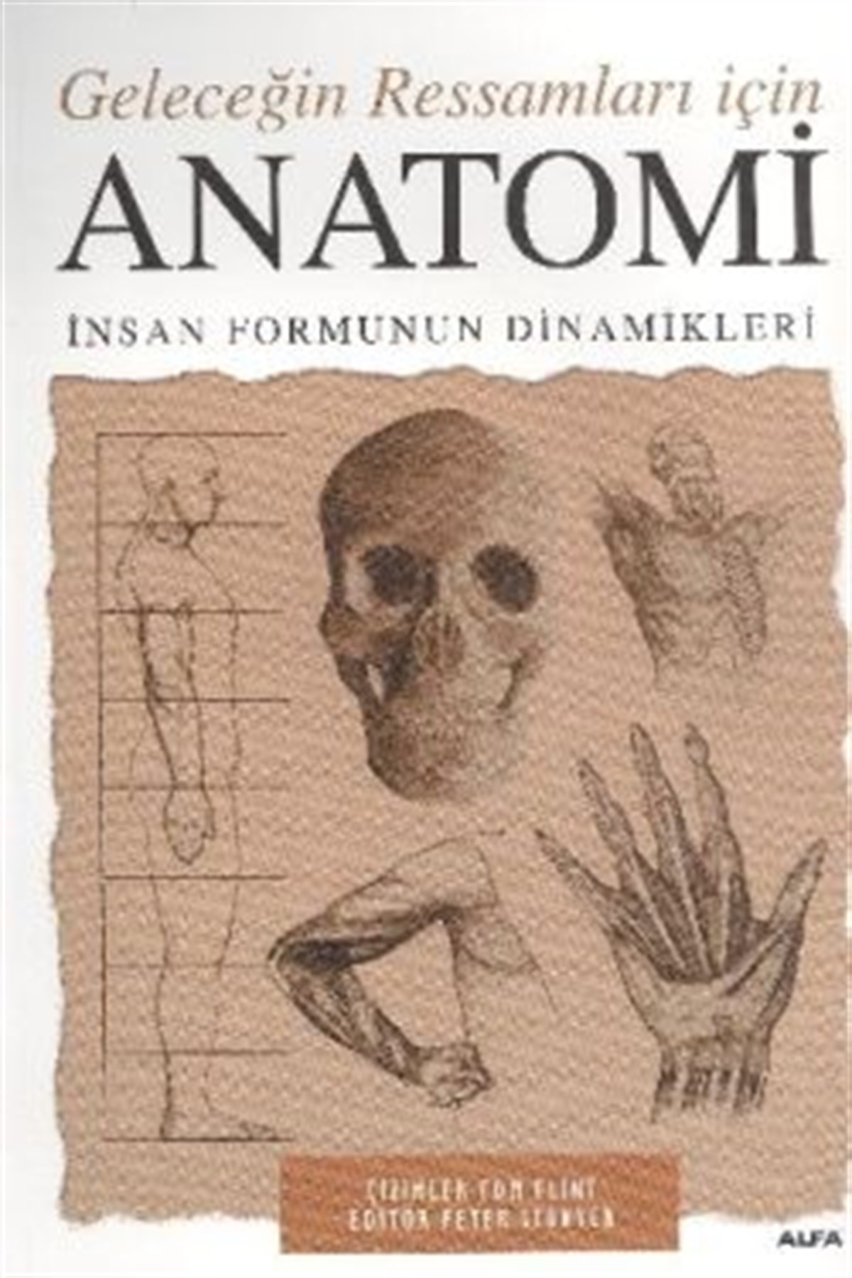 Anatomi  Geleceğin Ressamları İçin