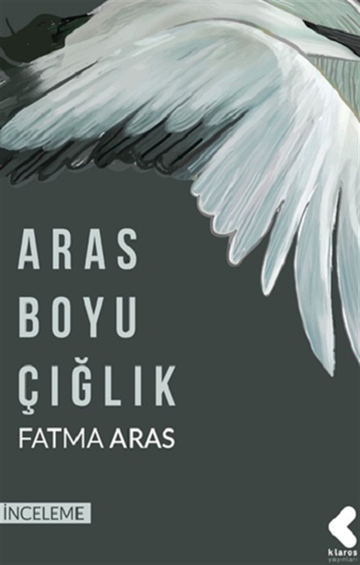 Aras Boyu Çığlık