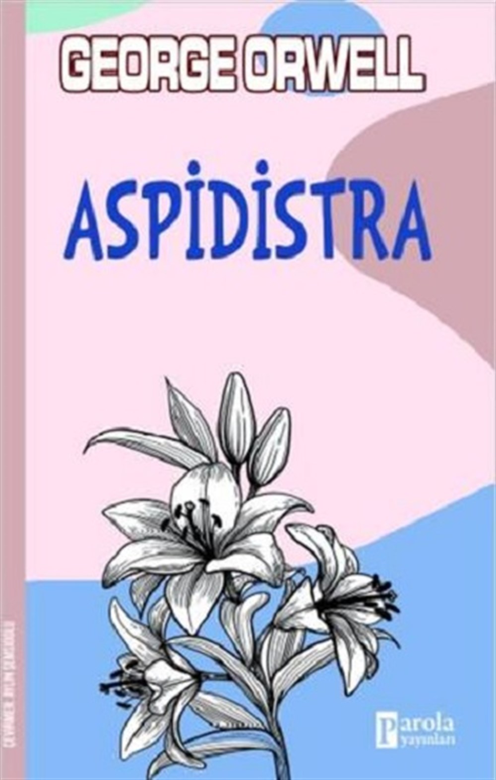 Aspidistra