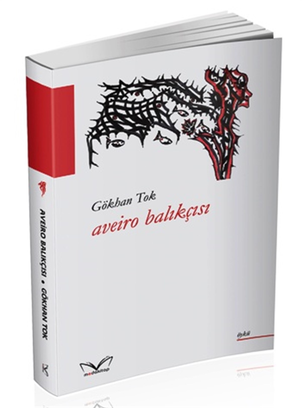 Aveiro Balıkçısı