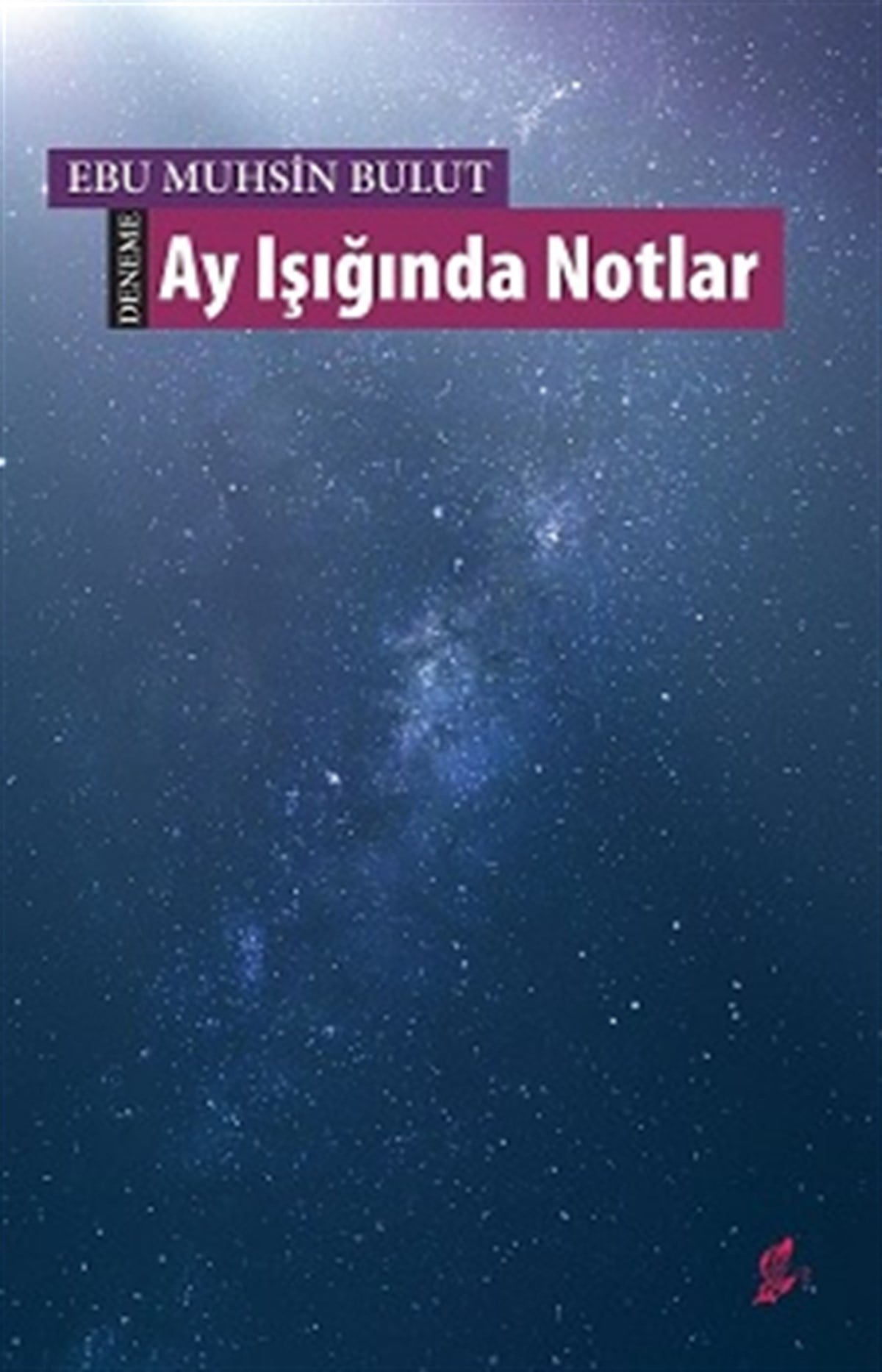 Ay Işığında Notlar