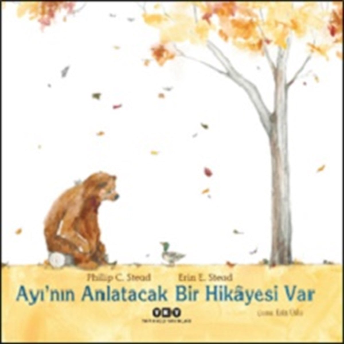 Ayı’nın Anlatacak Bir Hikayesi Var