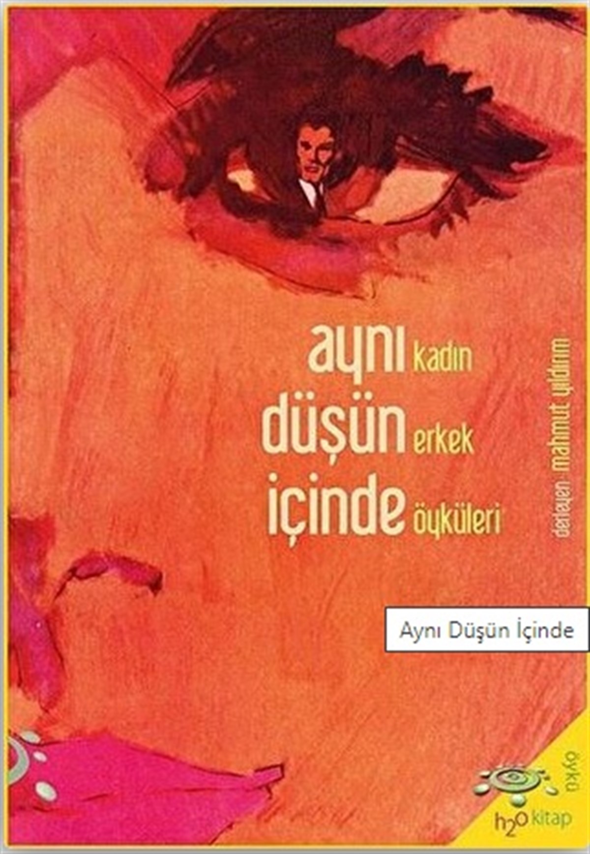 Aynı Düşün İçinde