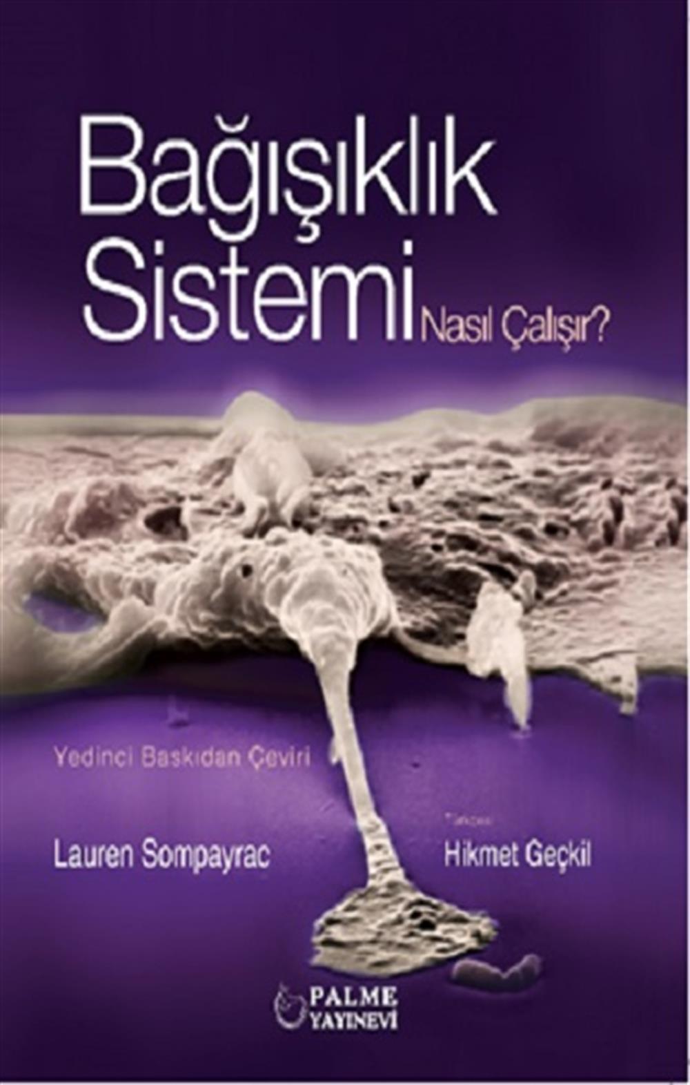 Bağışıklık Sistemi Nasıl Çalışır ?