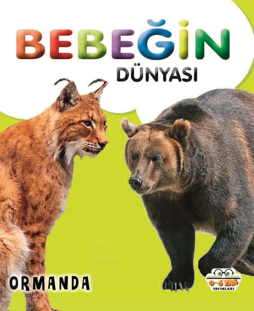 Bebeğin Dünyası - Ormanda (Sıvama Cilt)