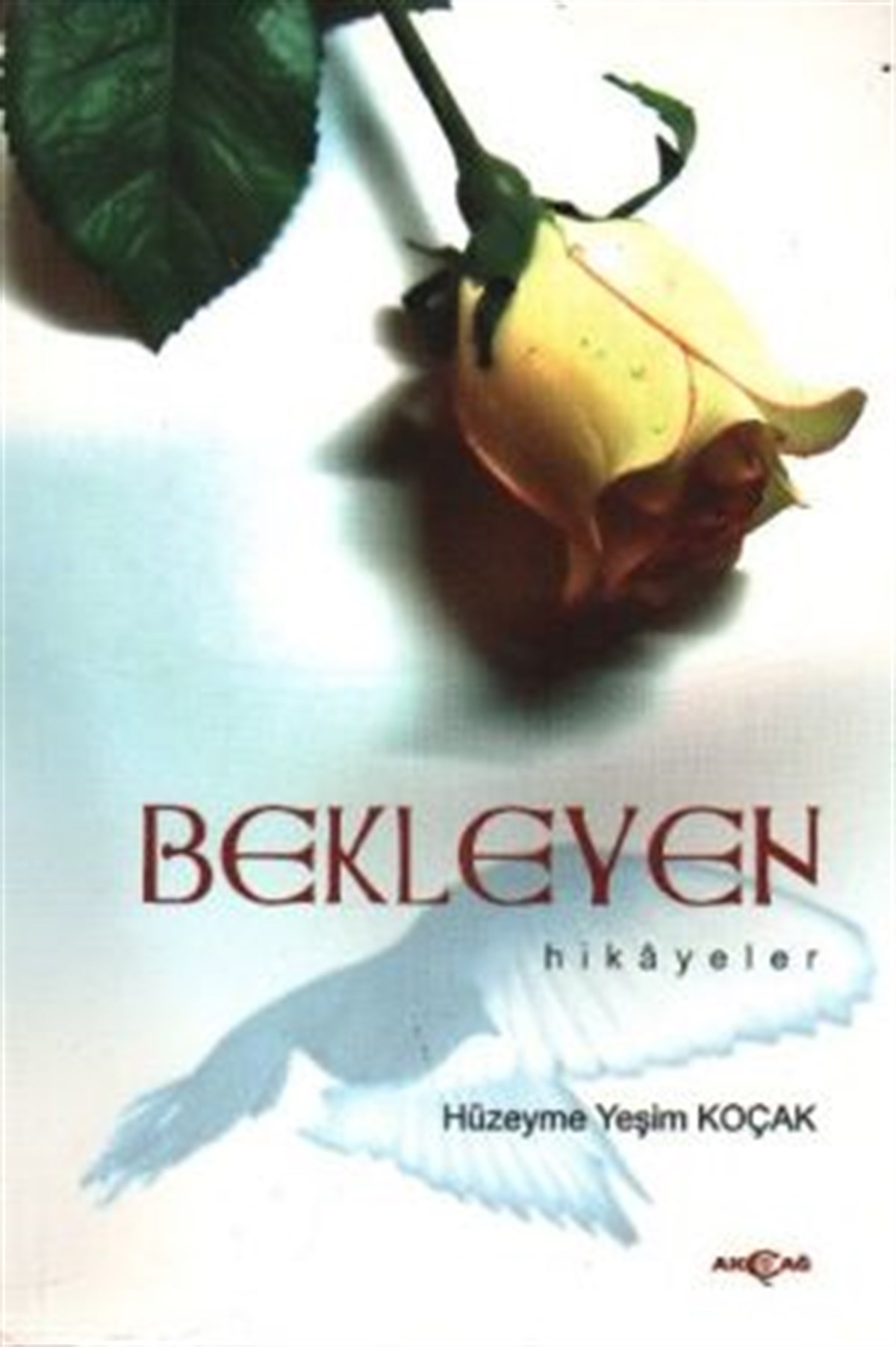 Bekleyen Hikayeler