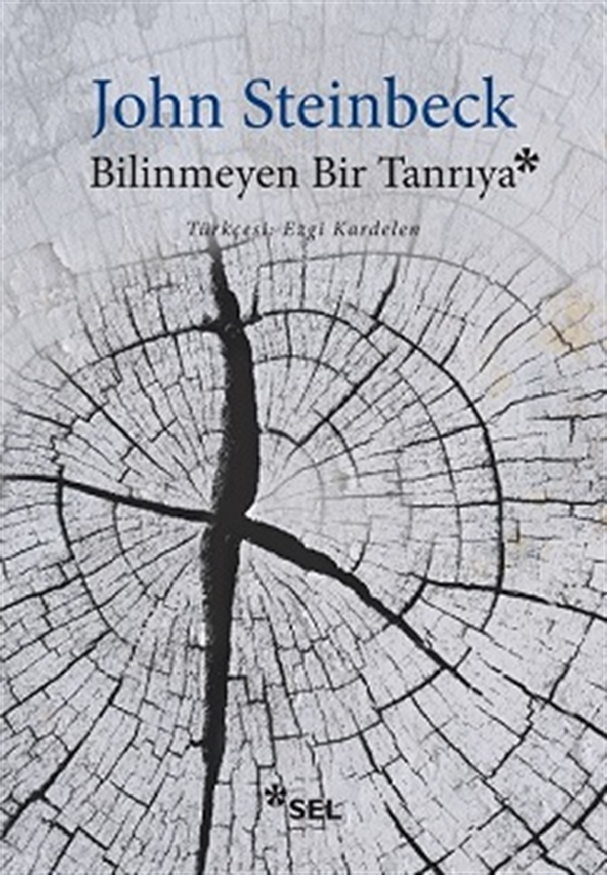 Bilinmeyen Bir Tanrıya