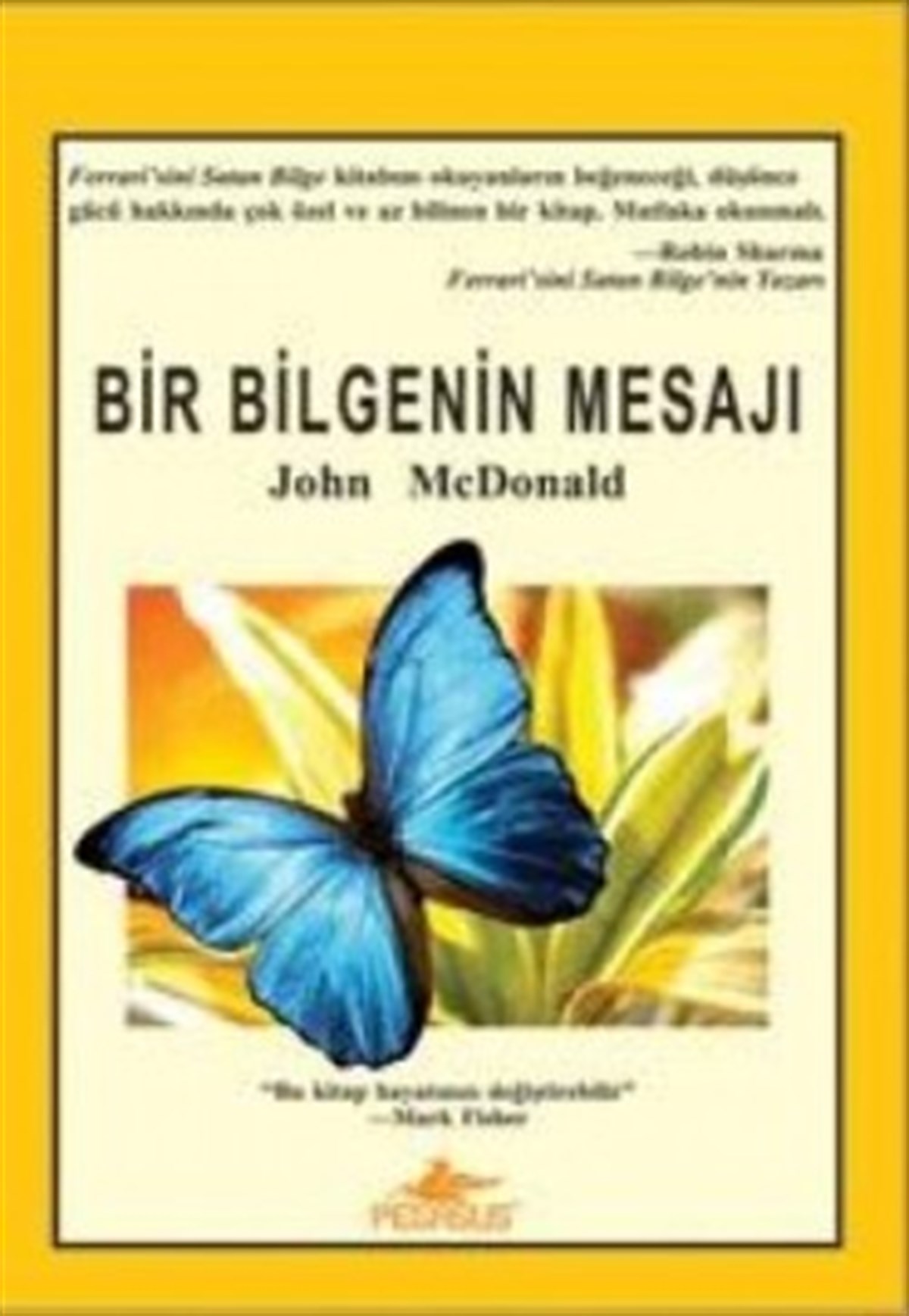 Bir Bilgenin Mesajı