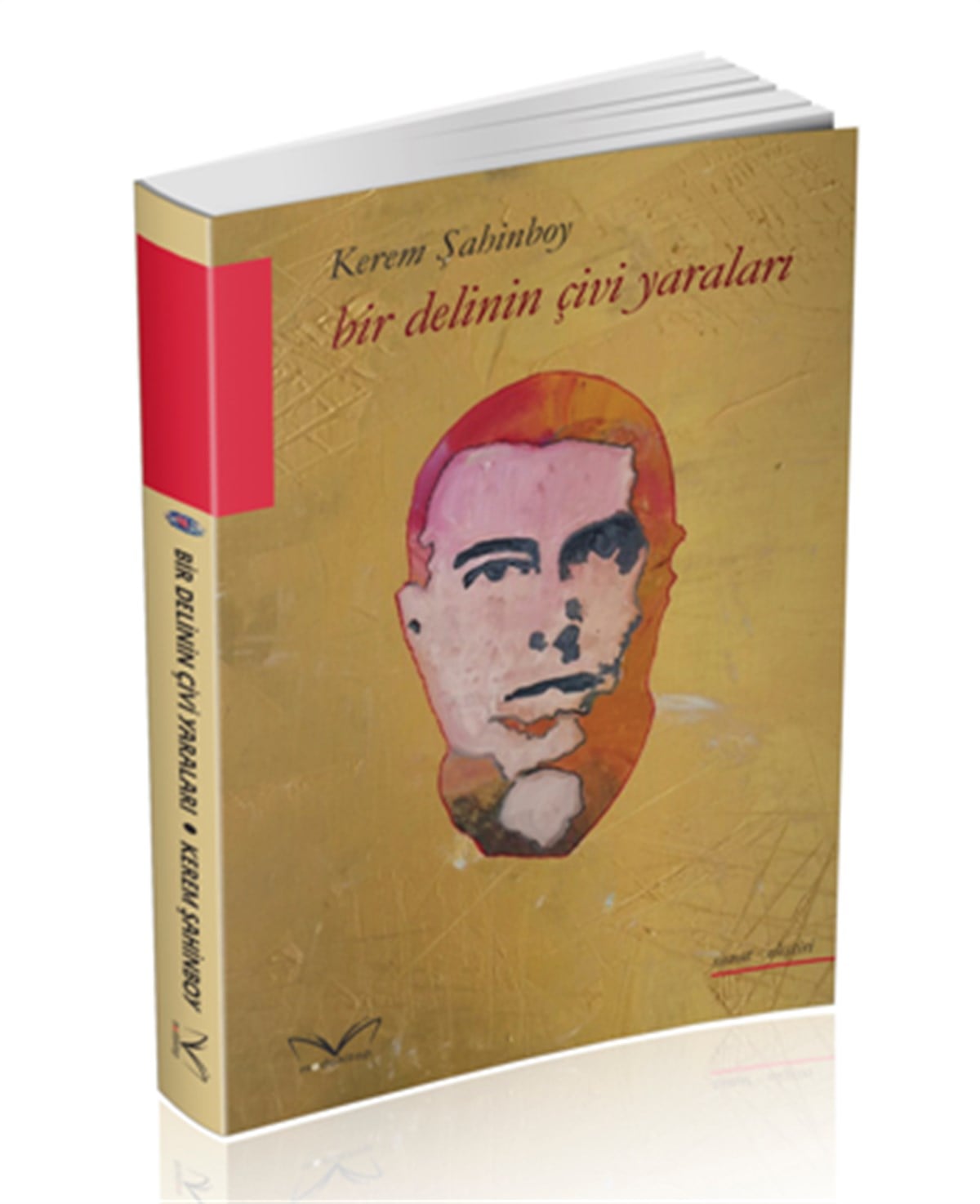 Bir Delinin Çivi Yaraları