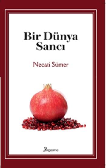 Bir Dünya Sancı