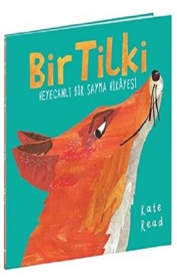 BİR TİLKİ Heyecanlı Bir Sayma Hikayesi