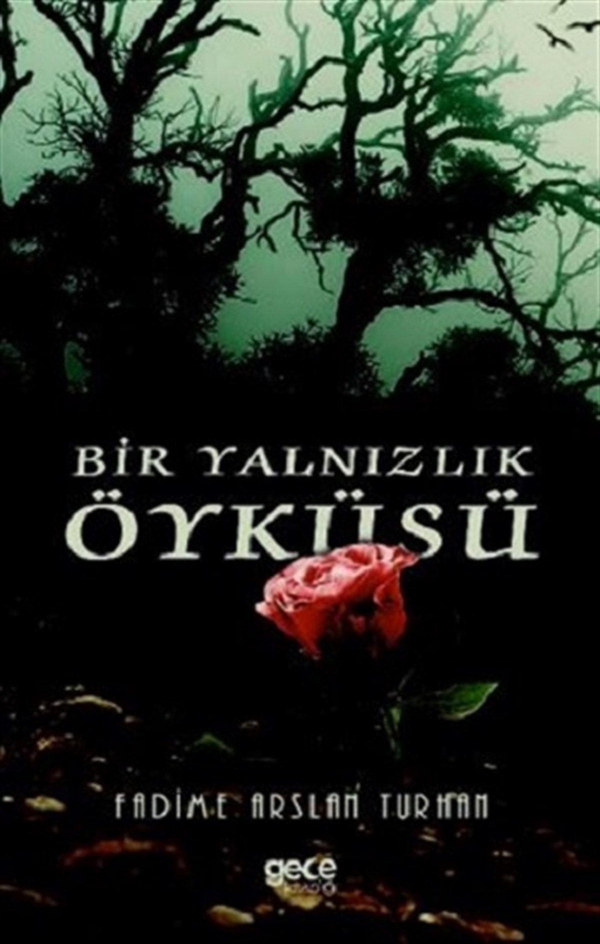 Bir Yalnızlık Öyküsü