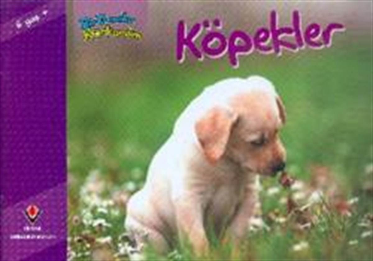 Bir Zamanlar Korkardım - Köpekler