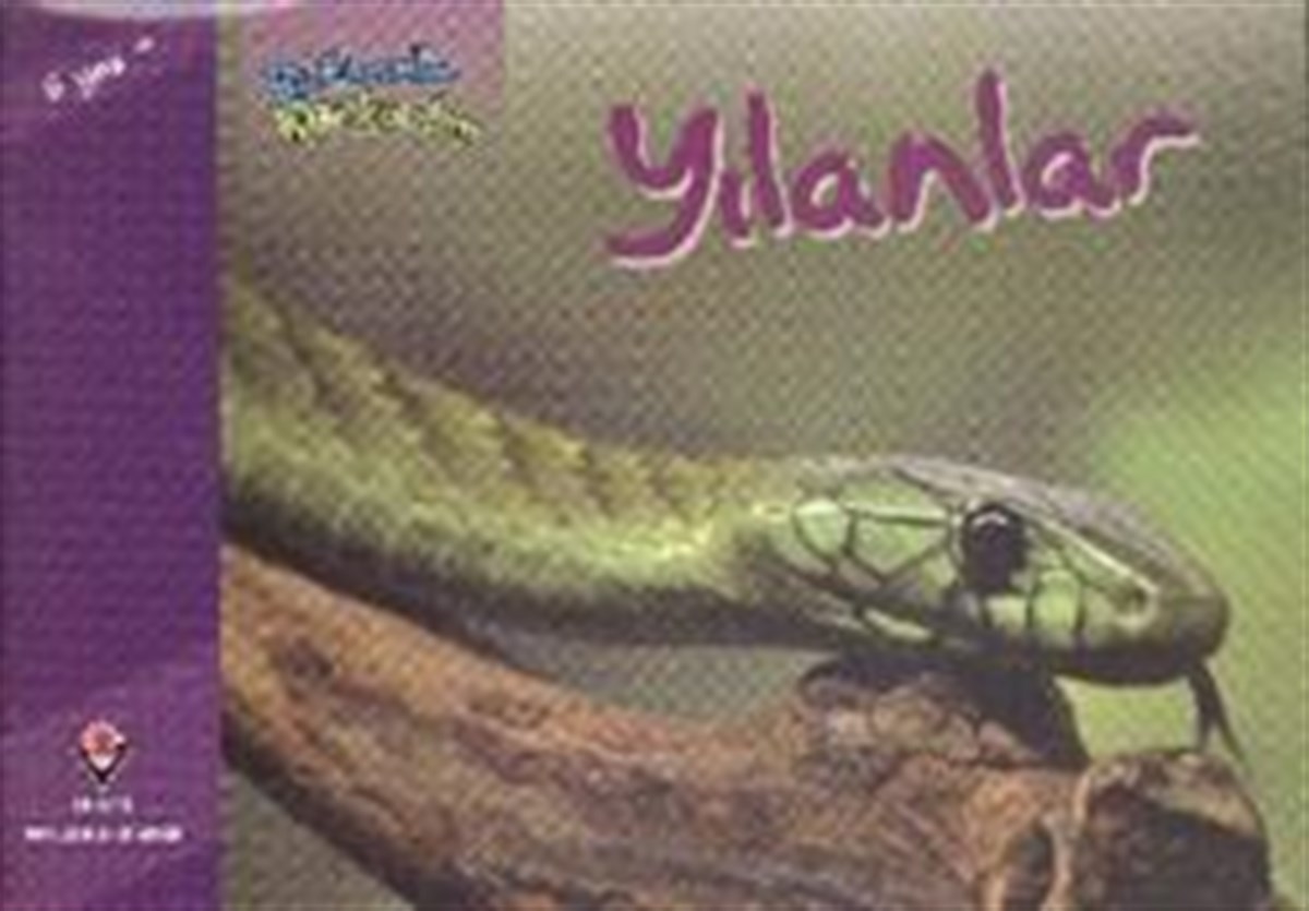 Bir Zamanlar Korkardım - Yılanlar