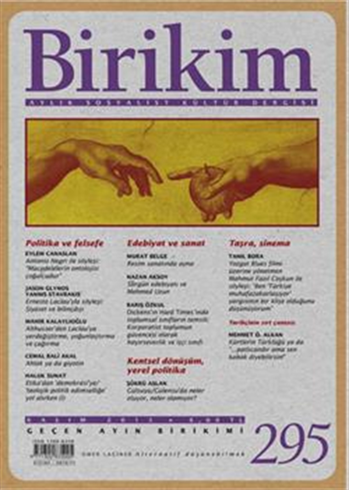 Birikim Sayı 295 (Kasım 2013)