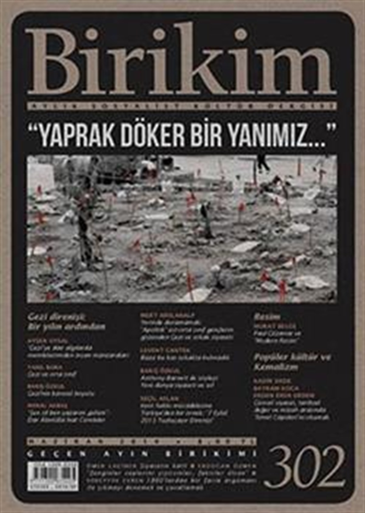 Birikim Sayı 302 (Haziran 2014)