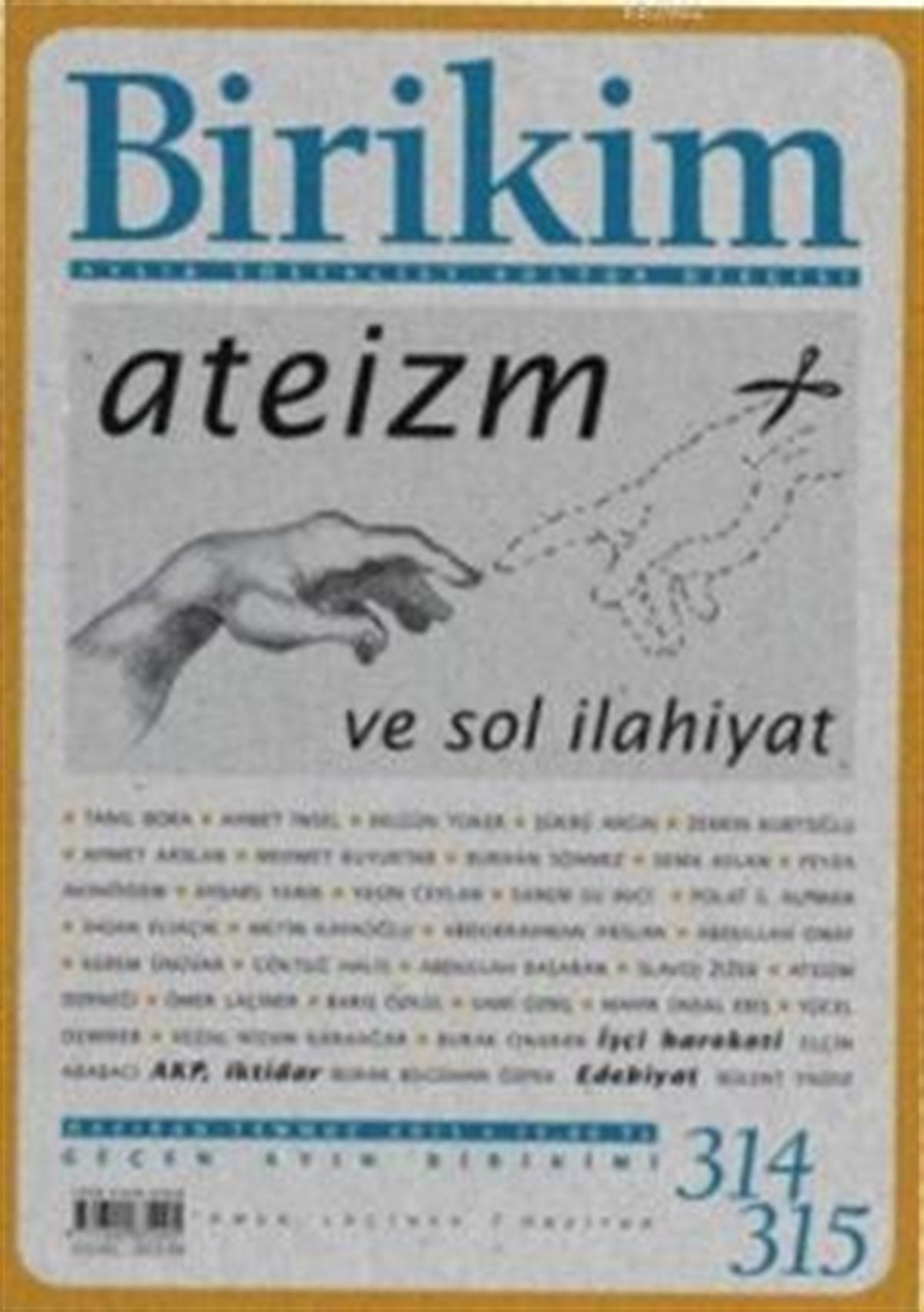 Birikim Sayı 314-315  (Haziran-Temmuz 2015)