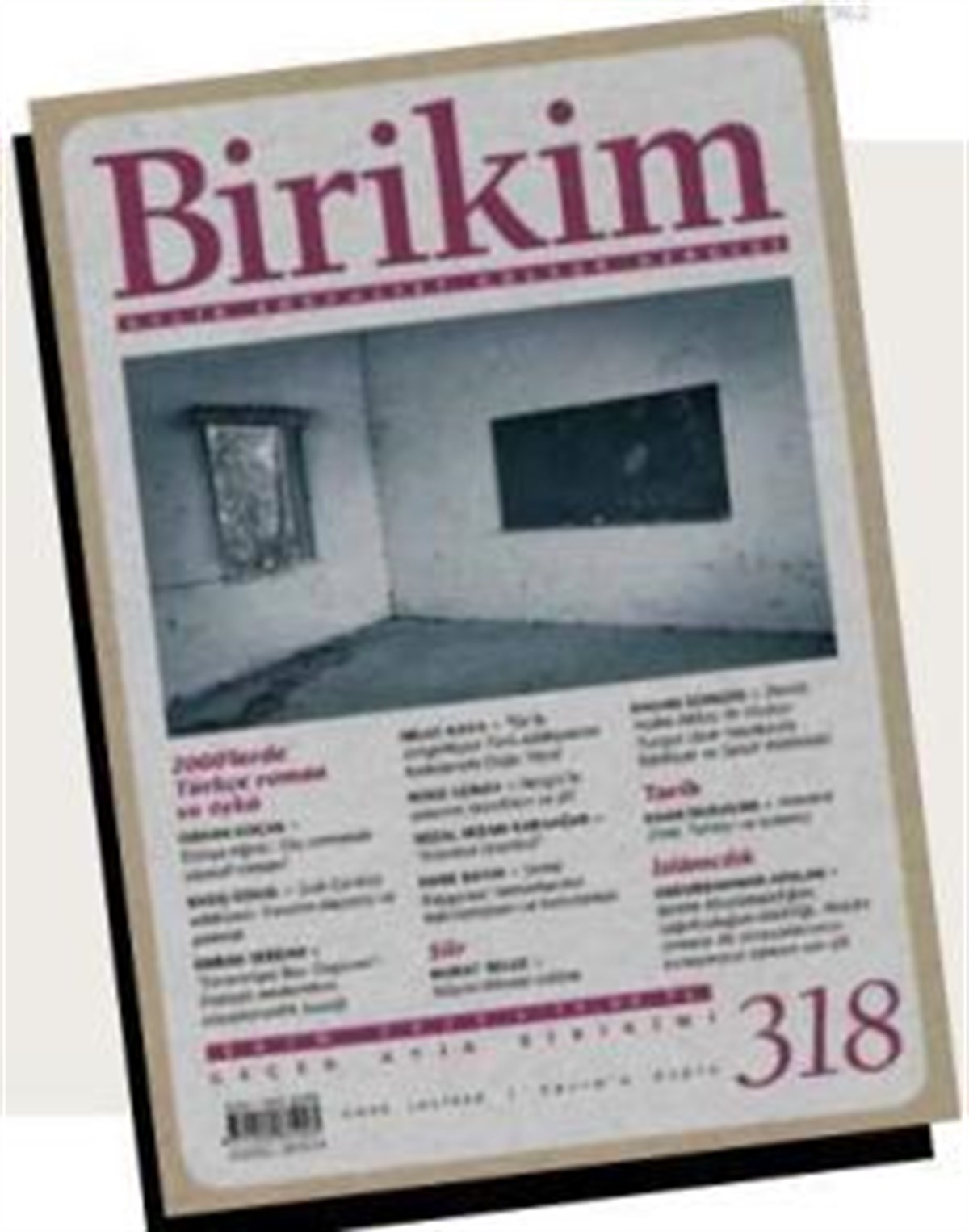 Birikim Sayı 316-317 (Ağustos-Eylül 2015)