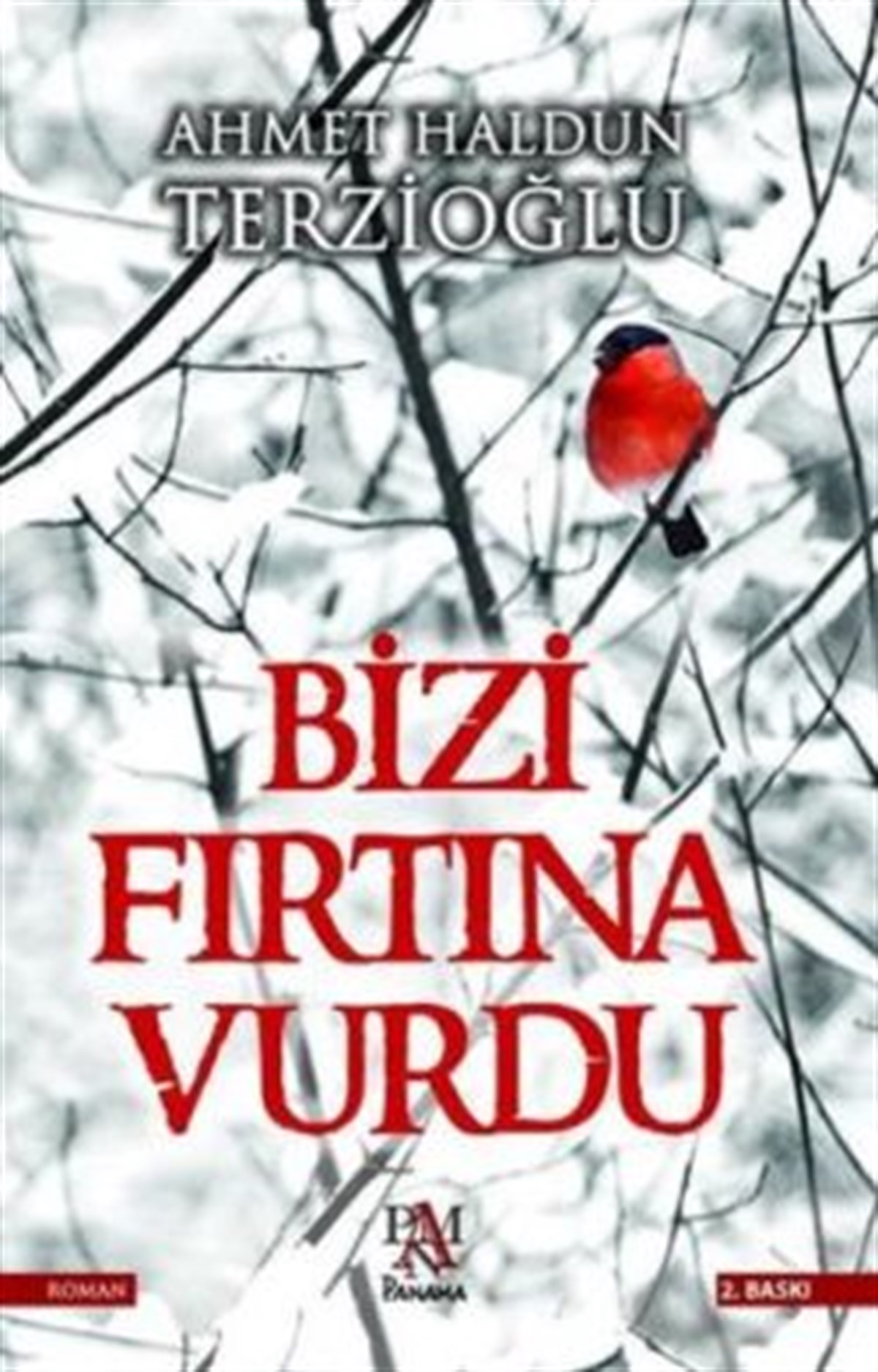 Bizi Fırtına Vurdu