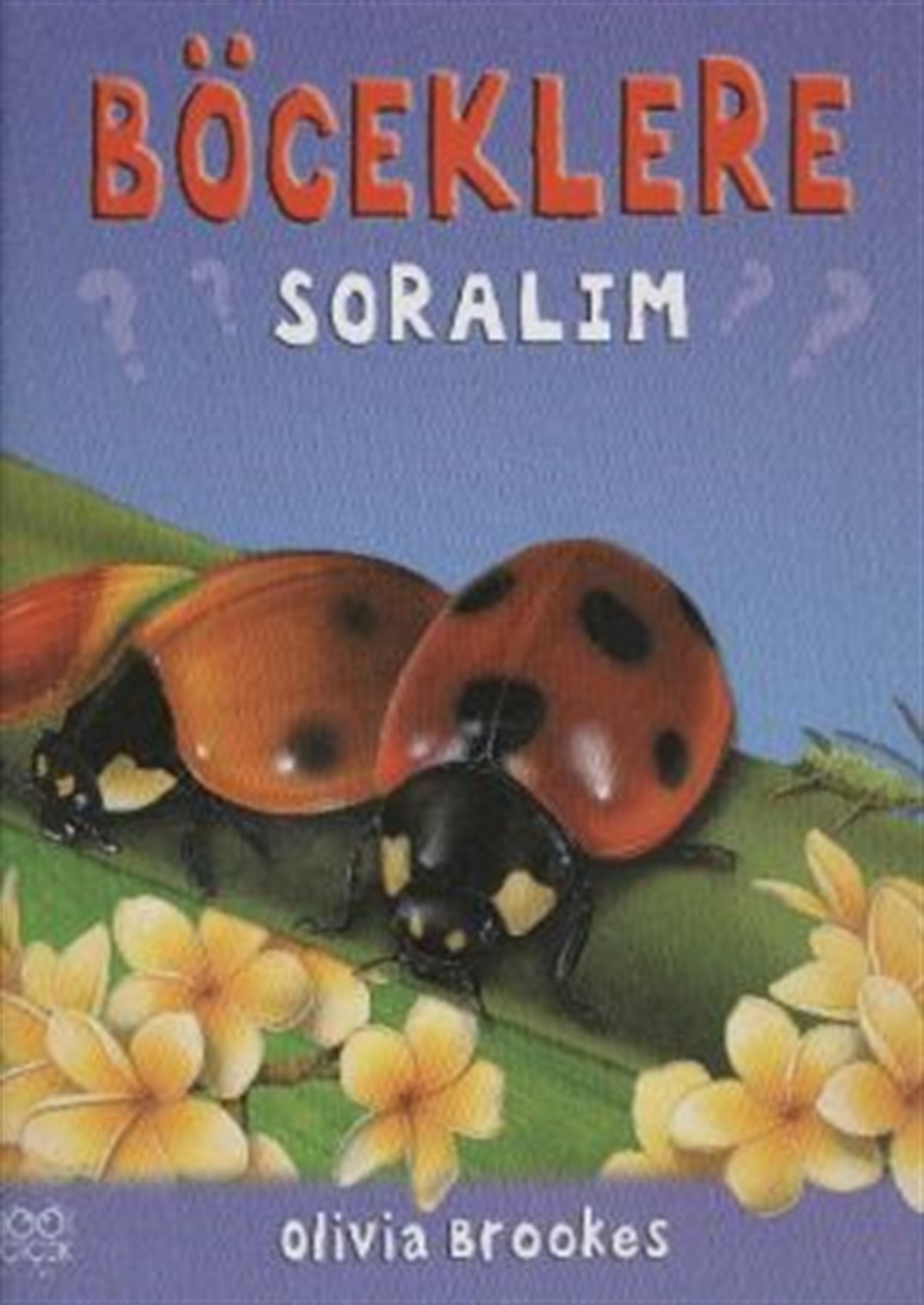 Böceklere Soralım