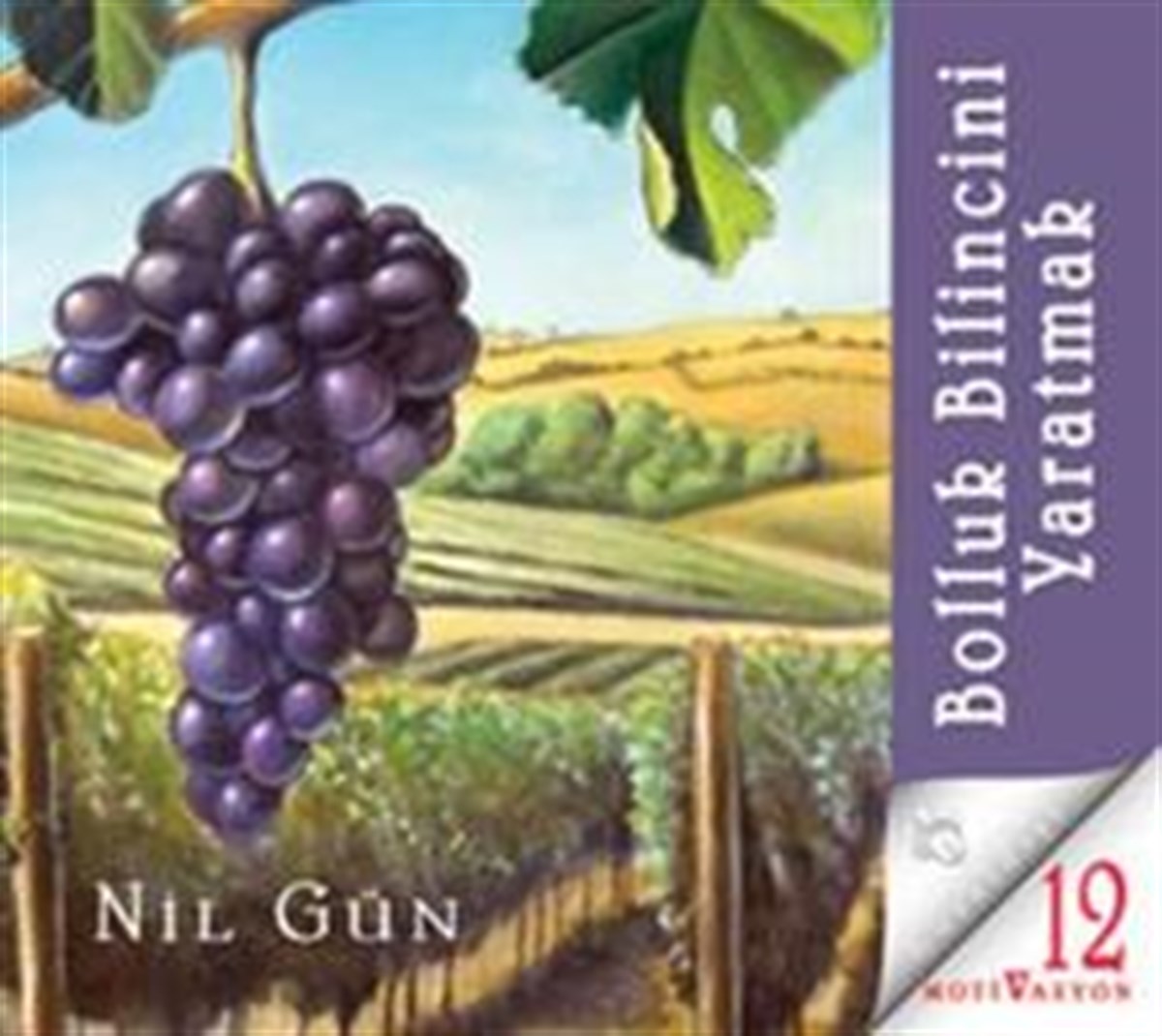 Bolluk Bilincini Yaratmak (CD)