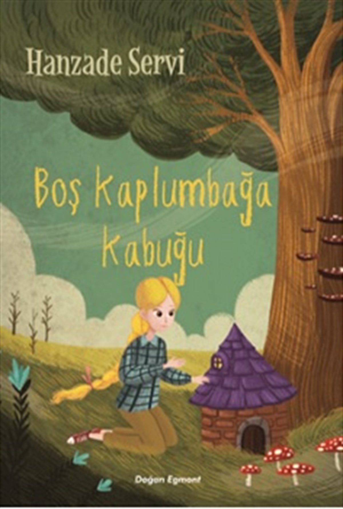 Boş Kaplumbağa Kabuğu